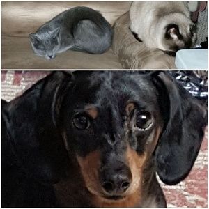 Meet your Posher, Jane